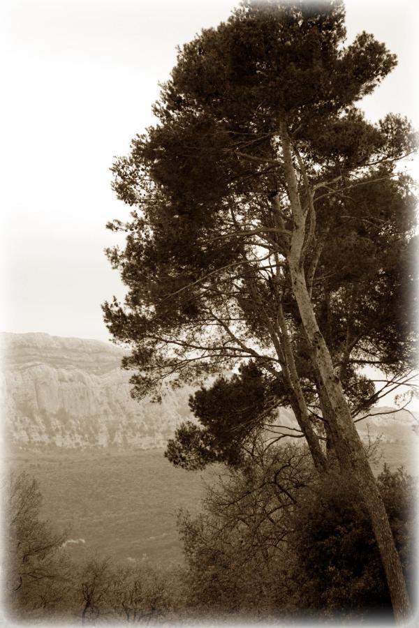 Vila Chez Elles En Provence Nans-les-Pins Exteriér fotografie