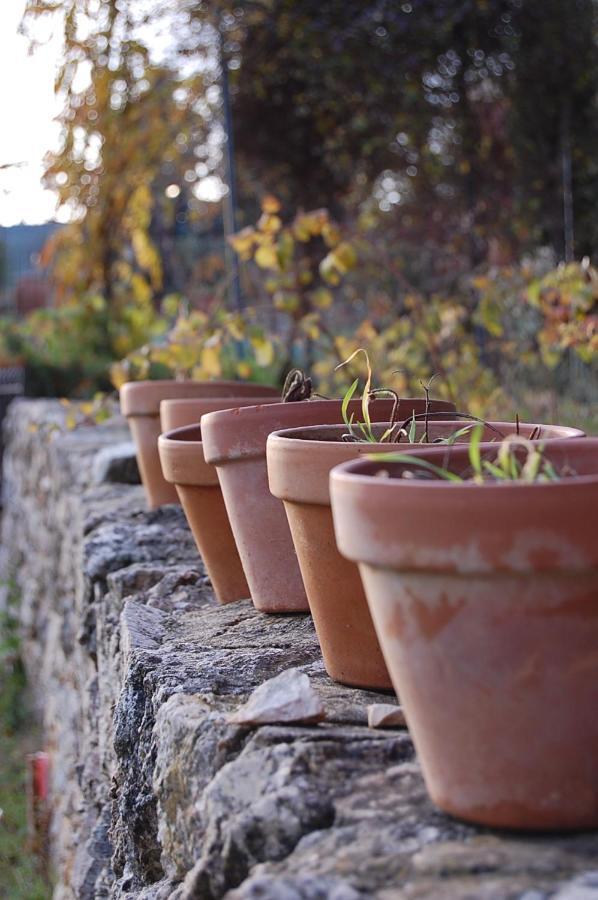 Vila Chez Elles En Provence Nans-les-Pins Exteriér fotografie
